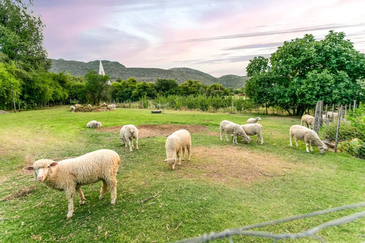 Die Fonteine Country Guesthouse And Glamping เอาท์สโฮร์น ภายนอก รูปภาพ