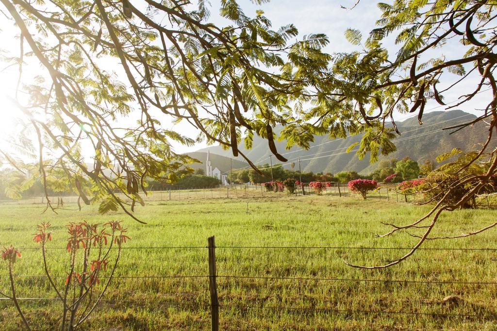 Die Fonteine Country Guesthouse And Glamping เอาท์สโฮร์น ภายนอก รูปภาพ
