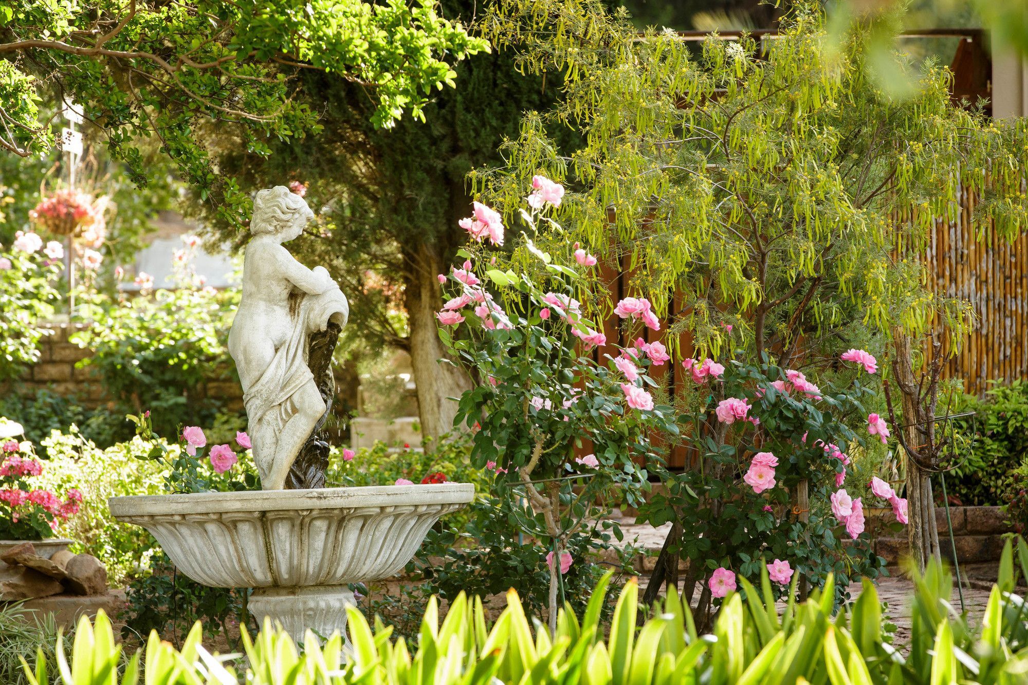 Die Fonteine Country Guesthouse And Glamping เอาท์สโฮร์น ภายนอก รูปภาพ