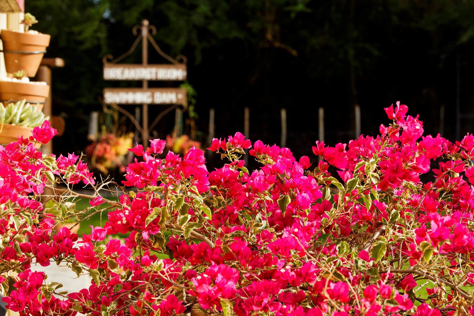 Die Fonteine Country Guesthouse And Glamping เอาท์สโฮร์น ภายนอก รูปภาพ